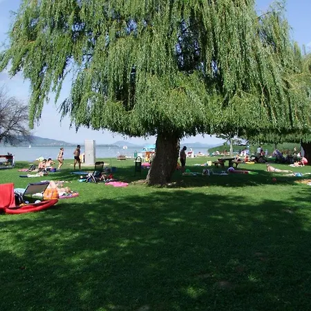 Anna Ueduelohaz Prázdninový dům *